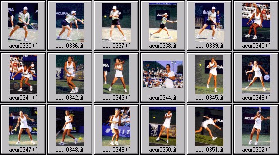 womens tennis pictures