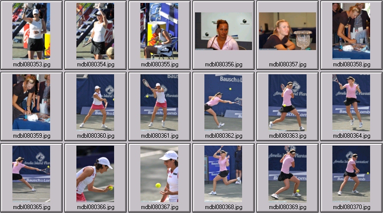 amelia island photos