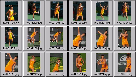 tatiana golovin, francesca schiavone