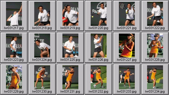 tatiana golovin, francesca schiavone