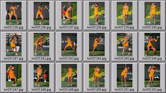 tatiana golovin, francesca schiavone