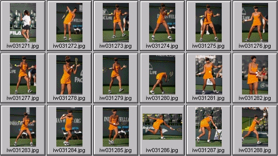 tatiana golovin, francesca schiavone