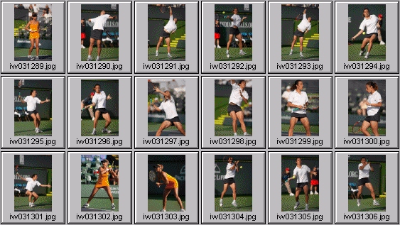 tatiana golovin, francesca schiavone