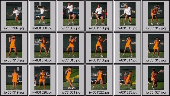 tatiana golovin, francesca schiavone