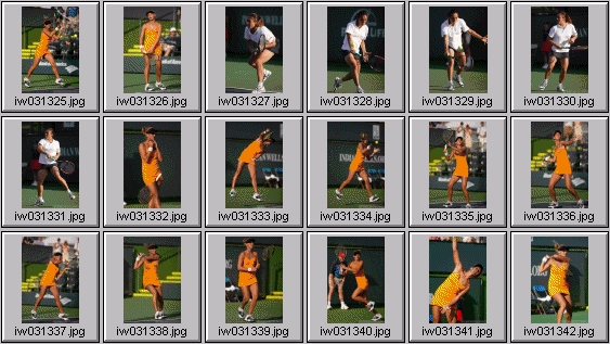 tatiana golovin, francesca schiavone