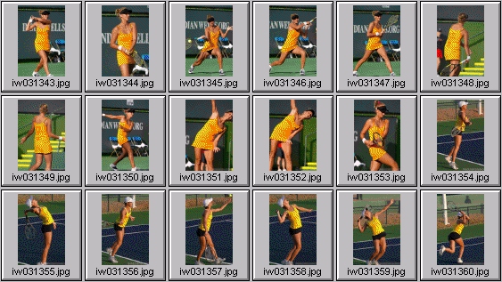 tatiana golovin, Jelena Kostanic