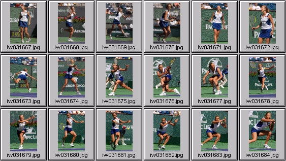 lindsay davenport elena likhovtseva