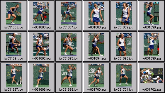 lindsay davenport elena likhovtseva