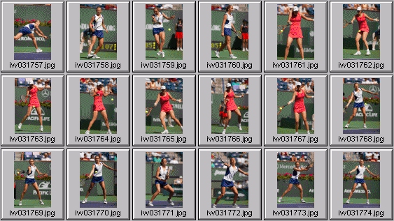 lindsay davenport elena likhovtseva