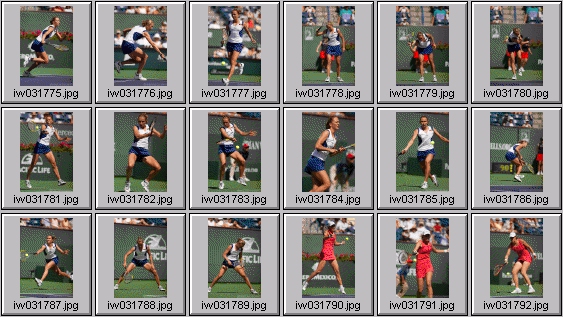 lindsay davenport elena likhovtseva