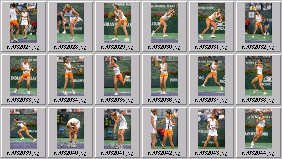 anastasia myskina dinara safina