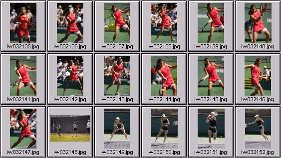 amelie mauresimo, anastasia myskina, likhovtseva, nathalie dechy