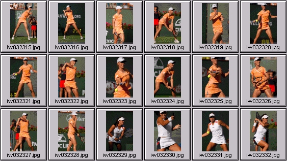 jennifer capriati elena dementieva