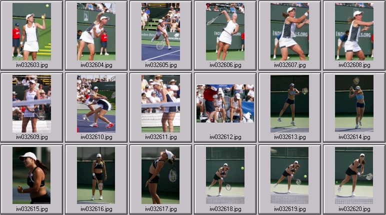 jelena dokic nadia petrova jennifer capriati