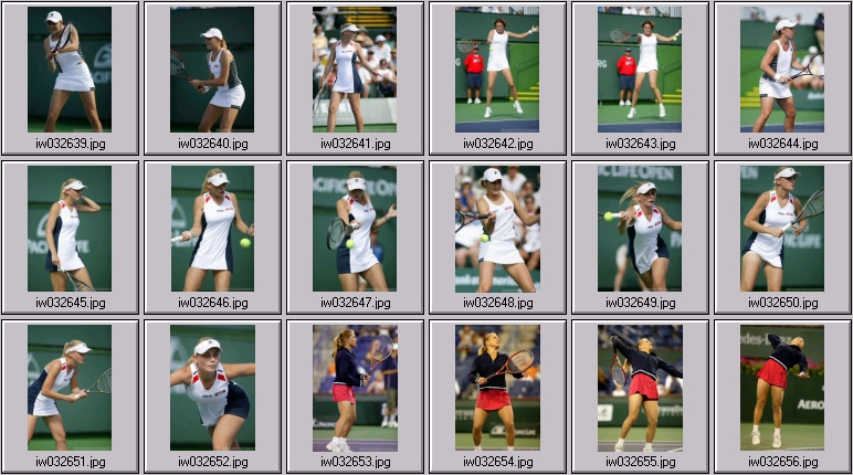 davenport coetzer petrova dokic