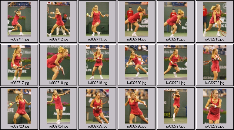 amanda coetzer, conchita martinez