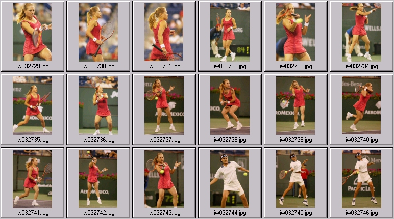 amanda coetzer, conchita martinez