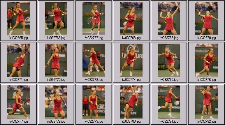 amanda coetzer, conchita martinez