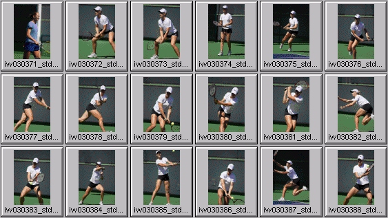 elena likhovtseva, elena dementieva