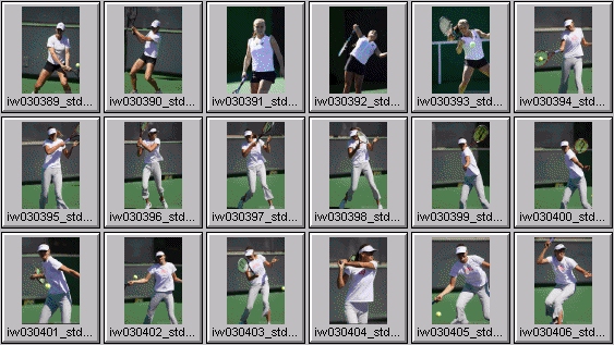 maria sharapova, elena dementieva