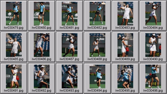 cara black, sarah taylor