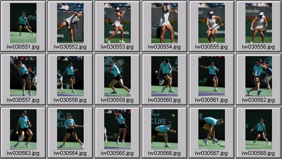 cara black, sarah taylor