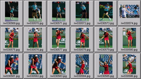 cara black, sarah taylor, Maria Sharapova