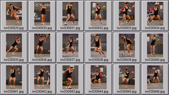 tatiana golovin, gisela dulko