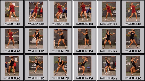 tatiana golovin, gisela dulko