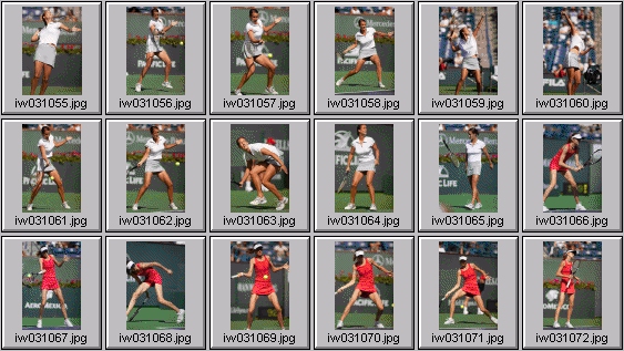 petra mandula, daniela hantuchova