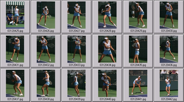 hantuchova sharapova photos