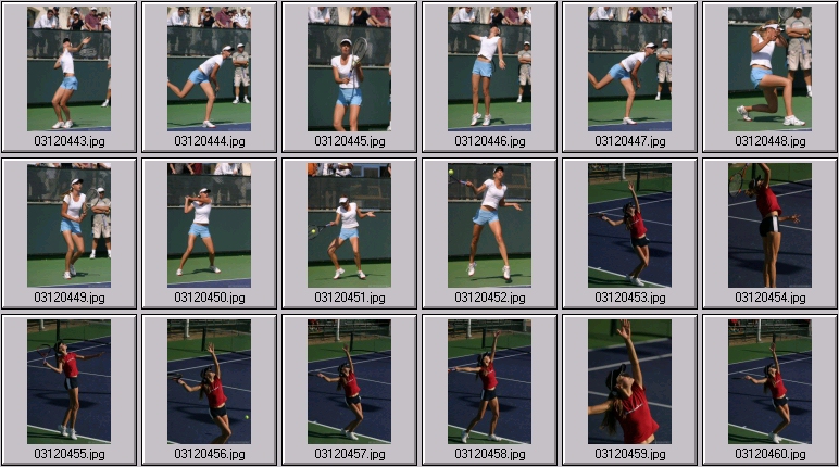 hantuchova sharapova photos