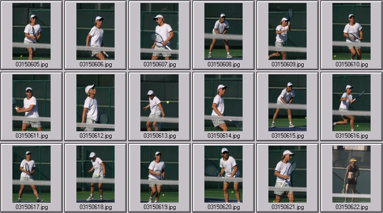 Martina Navratilova photos