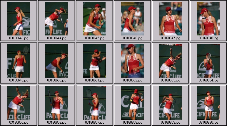 maria sharapova photos