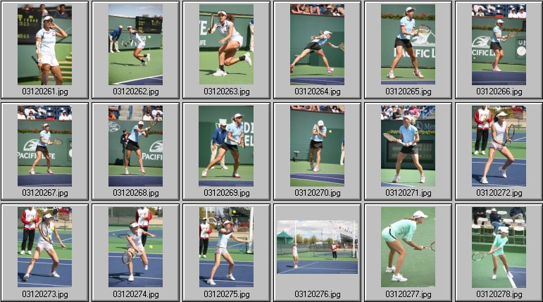 mattek-mirza safarova