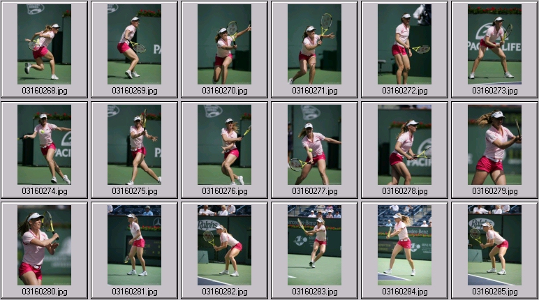 dementieva stock sports photos