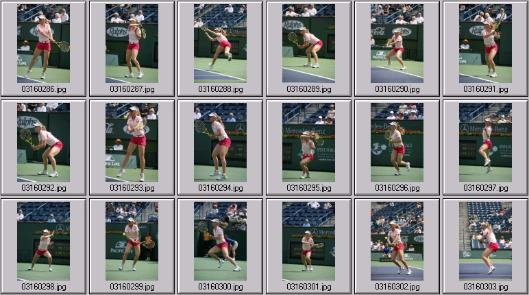 dementieva stock sports photos