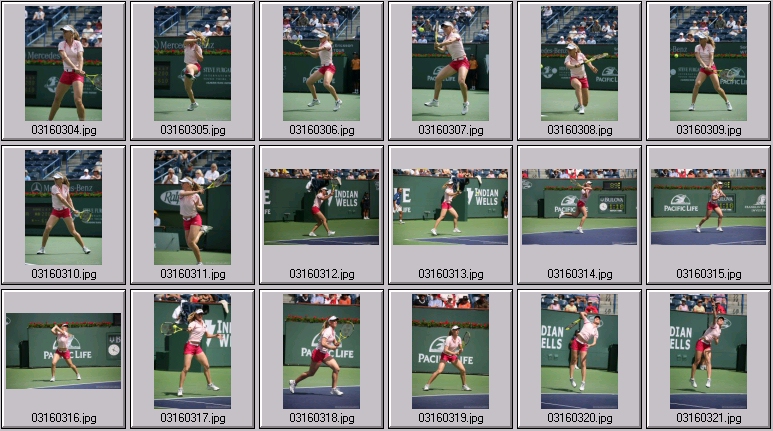 dementieva stock sports photos