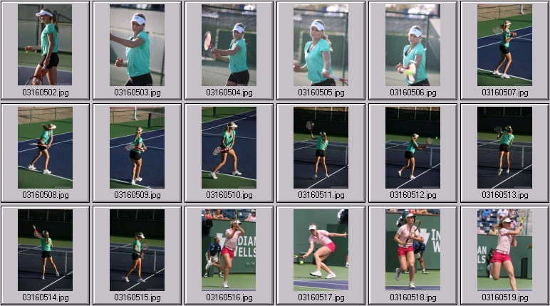 elena dementieva stock sports photos