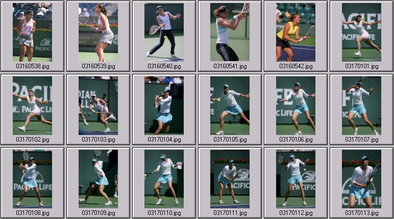 elena dementieva stock sports photos