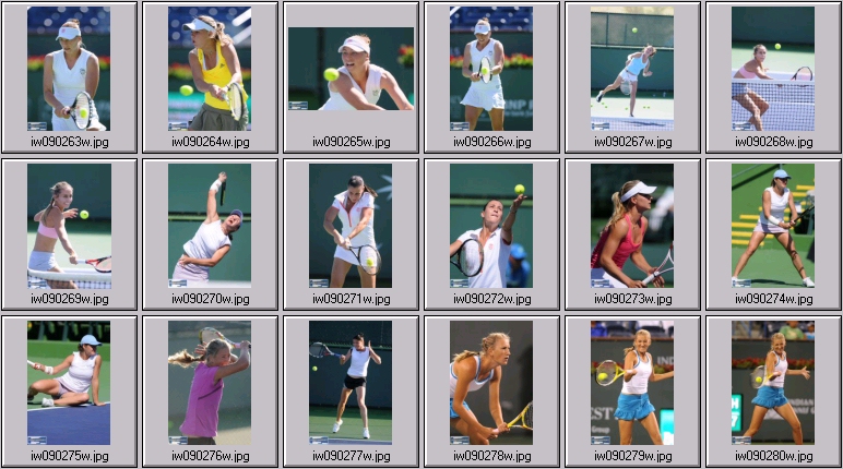 bnp paribas open photos