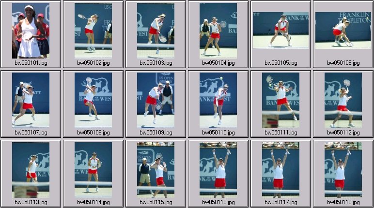 womens tennis - clijsters, williams