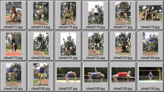 prep womens track and field photos