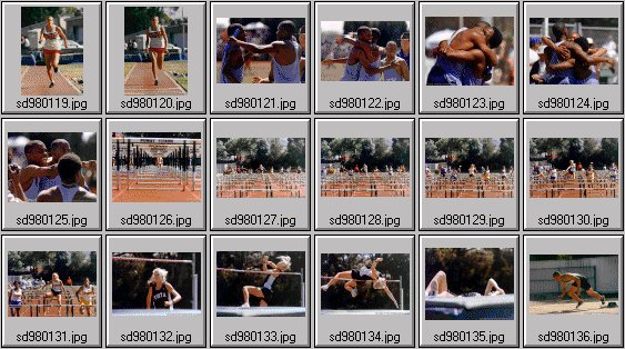 High School womens track photos