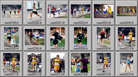 High School womens track photos
