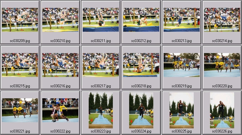 mens track