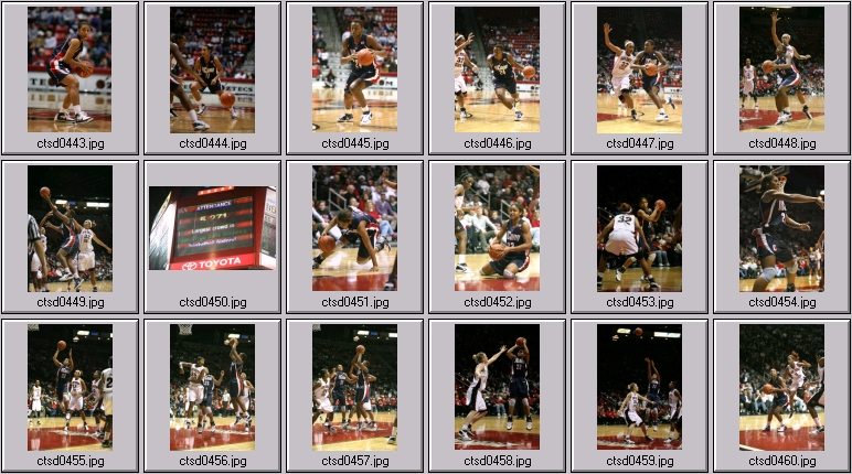 uconn Women's basketball photos