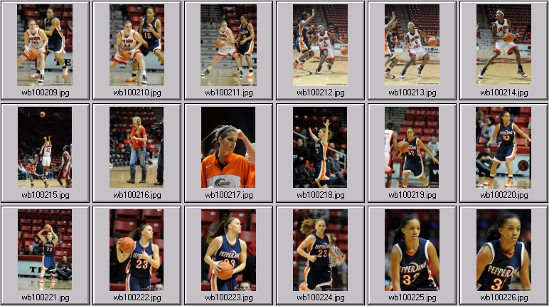 sdsu womens basketball