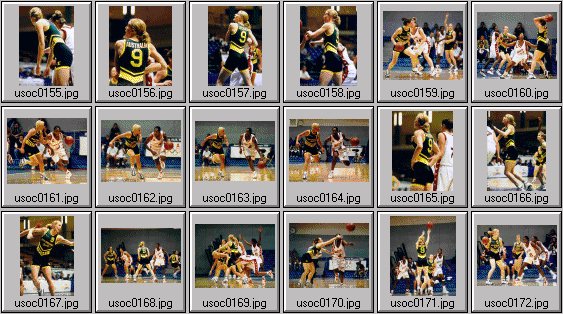 womens basketball photos -- olympic cup