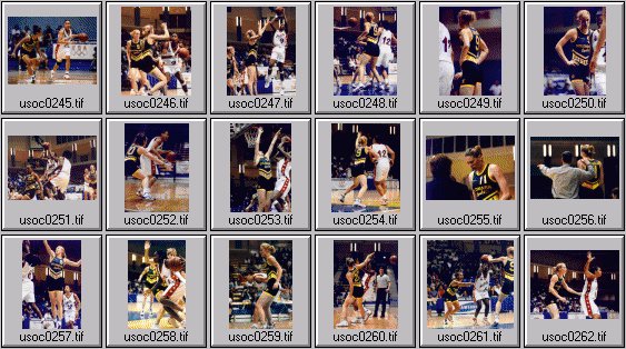 womens basketball photos -- olympic cup